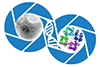 New synchrotron radiation and optical techniques for nanoscale microscopy of biological systems: from single molecules to cells logo